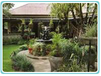 Corteza Amarilla Art Lodge and Spa