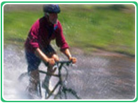 Paseo en Bicicleta