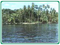 Cahuita Costa Rica