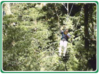 Canopy Costa Rica