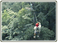 Canopy - Costa Rica