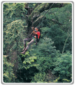 Canopy Costa Rica
