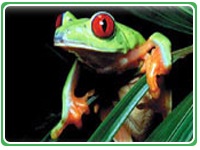 Ecotourism Costa Rica