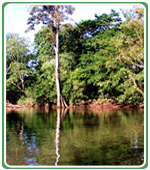Ecotourism Costa Rica