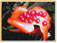 Ecotourism Costa Rica