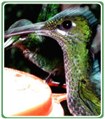Ecotourism Costa Rica