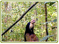Ecotourism Costa Rica