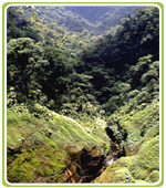 Ecotourism Costa Rica