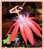 Ecotourism Costa Rica