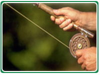 Costa Rica Fishing
