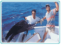 Fishing Costa Rica