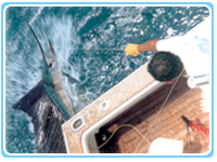 Fishing Costa Rica