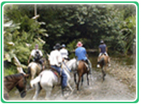 Horseback Costa Rica