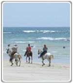 Horseback Costa Rica