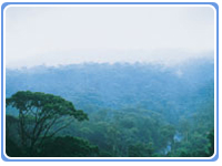 Monteverde Costa Rica