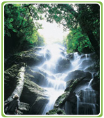 Costa Rica Package