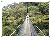 SkyWalk Costa Rica
