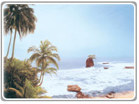 SOuth Pacific Costa Rica&ccedil;