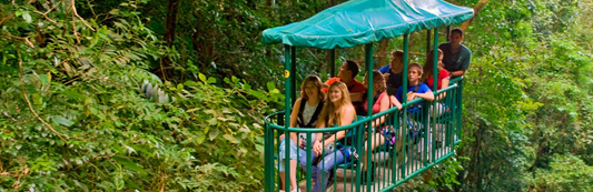 Rain Forest Aerial Tram