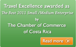 Team Travel Excellence