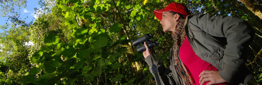Caminata para la observación de aves