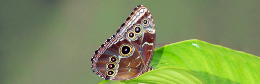 Parque Natura