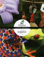 Digital Catalogue