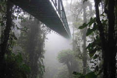 Costa Rica Cloud Forest