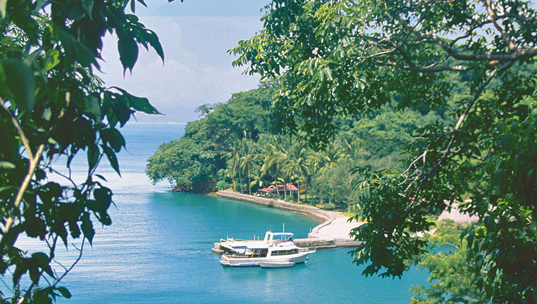 Naturalist’s Cruise to Punta Coral