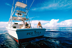 Pesca