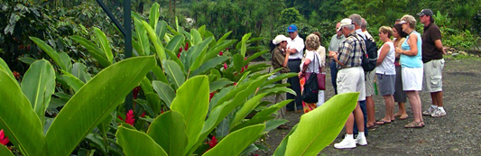 Golden Bean Coffee Tour