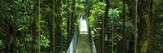 Arenal Hanging Bridges