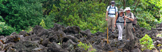 Caminata en las faldas del volcán Arenal