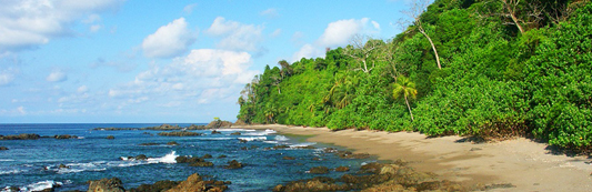 Hiking in the Corcovado National Park