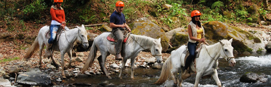 Caminata y paseo a caballo hasta la catarata
