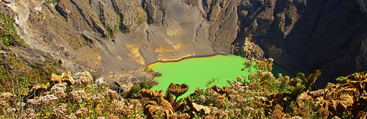 Volcán Irazú, jardines Lankester