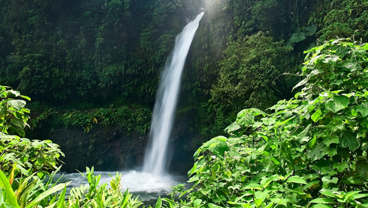 Cataratas de La Paz, Volcán Poás y Doka