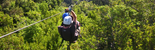 El Canopy del Mono Loco