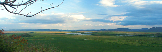 Palo Verde National Park – Tempisque River