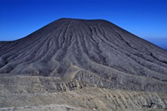 La Paz Waterfalls, Poas Volcano and Doka Coffee
