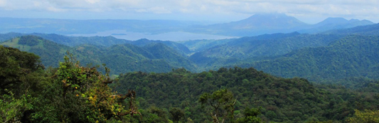 Santa Elena Reserve