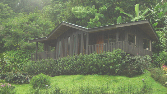 sapodorado01