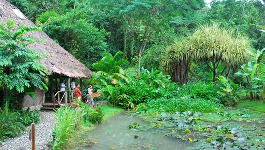 esquinas_rainforest02