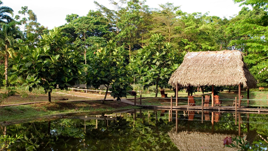 laquintasarapiqui03