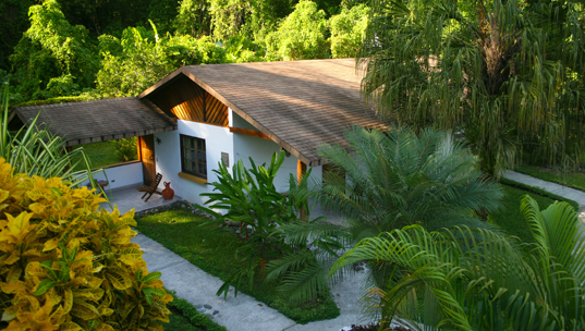 suizoloco01