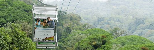 Sky Tram and Sky Trek