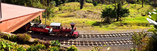 Monteverde TrainForest