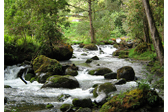 Turrialba Costa Rica