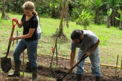 Voluntariado