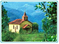 Tayutic Costa Rica